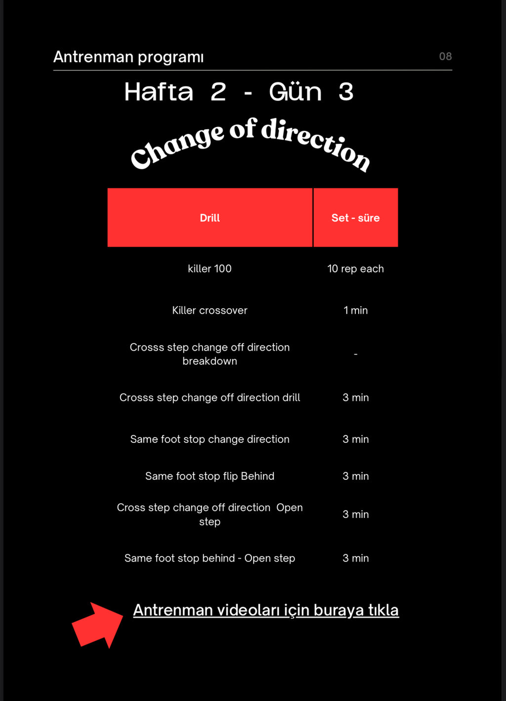 ULTIMATE HANDLES | 30 GÜNLÜK BALL HANDLING PROGRAMI